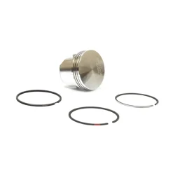 Briggs and Stratton 555661 Piston Assembly - .010 Oversized - Equipment Parts for Your Tool Power Engine Needs Sale