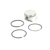 Briggs and Stratton 555660 Piston Assembly - Equipment Parts for Your Tool Power Engine Needs Outlet