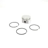Briggs and Stratton 555675 Piston Assembly - .020 Oversized - Equipment Parts for Your Tool Power Engine Needs Sale