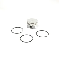 Briggs and Stratton 555675 Piston Assembly - .020 Oversized - Equipment Parts for Your Tool Power Engine Needs Sale