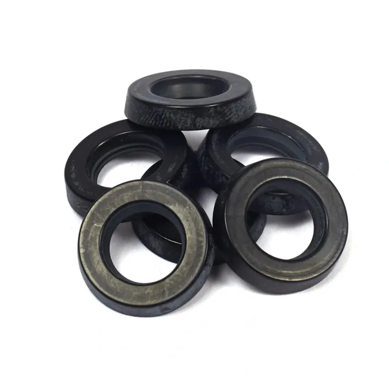 Briggs and Stratton 204084GS Water Seal Kit - Equipment Parts for Your Tool Power Engine Needs Outlet