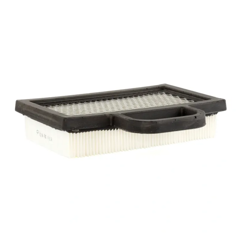 Briggs and Stratton 4223 A/C - Filter (6 x 499486S) - Equipment Parts for Your Tool Power Engine Needs Outlet