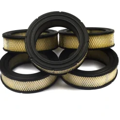Briggs and Stratton 4232 A/C - Filter (5 x 692519) - Equipment Parts for Your Tool Power Engine Needs Flash Sale