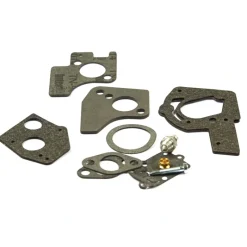 Briggs and Stratton 495606 Carburetor Overhaul Kit - Equipment Parts for Your Tool Power Engine Needs Clearance