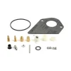Briggs and Stratton 497481 Carburetor Overhaul Kit - Equipment Parts for Your Tool Power Engine Needs Discount