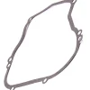 Briggs and Stratton 270069 Crankcase Gasket - .015 - Equipment Parts for Your Tool Power Engine Needs Store