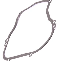 Briggs and Stratton 270069 Crankcase Gasket - .015 - Equipment Parts for Your Tool Power Engine Needs Store