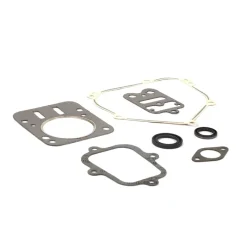 Briggs and Stratton 555631 Engine Gasket Set - Equipment Parts for Your Tool Power Engine Needs Store
