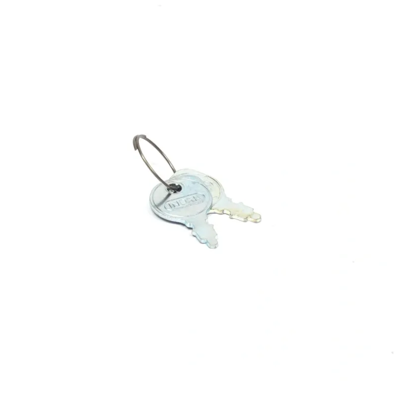 Briggs and Stratton 20729MA KEYS & RING - Equipment Parts for Your Tool Power Engine Needs Discount