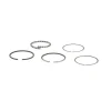 Briggs and Stratton 399067 Ring Set - Equipment Parts for Your Tool Power Engine Needs Hot