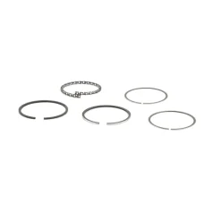 Briggs and Stratton 399067 Ring Set - Equipment Parts for Your Tool Power Engine Needs Hot
