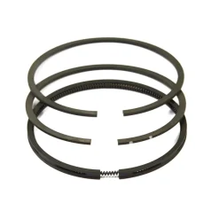 Briggs and Stratton 499996 Ring Set - Equipment Parts for Your Tool Power Engine Needs Fashion
